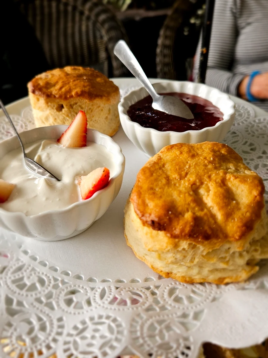 Freshly Baked Scone With