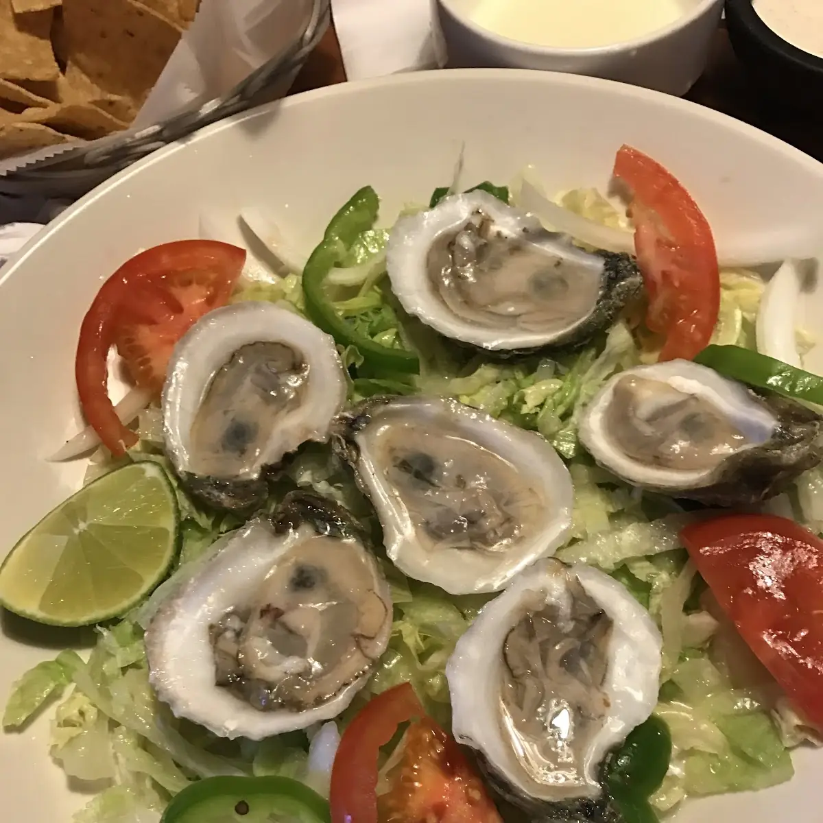 Fresh Oysters