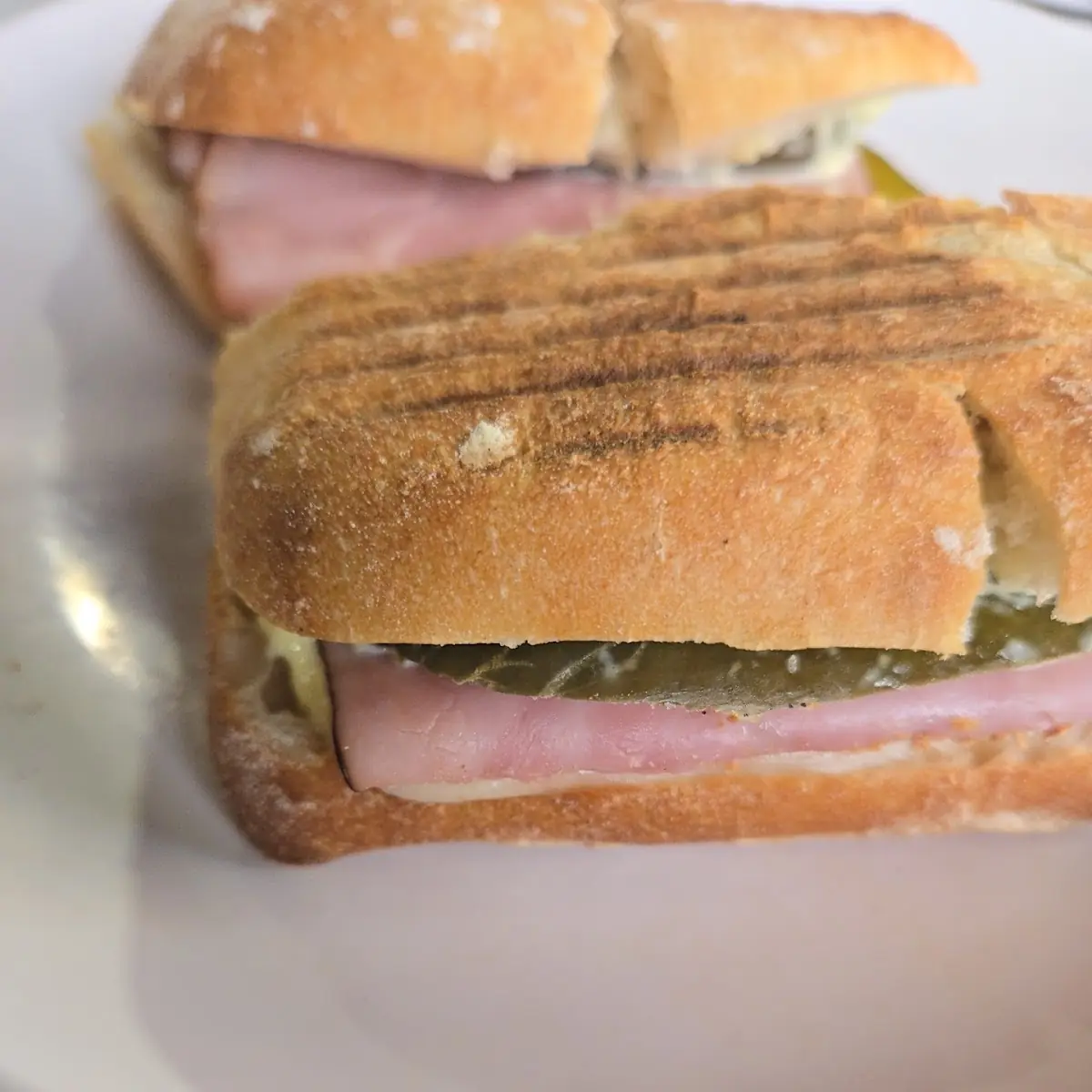 Cuban Panini