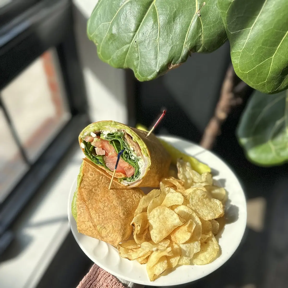 Chicken Bacon Guac Wrap Special