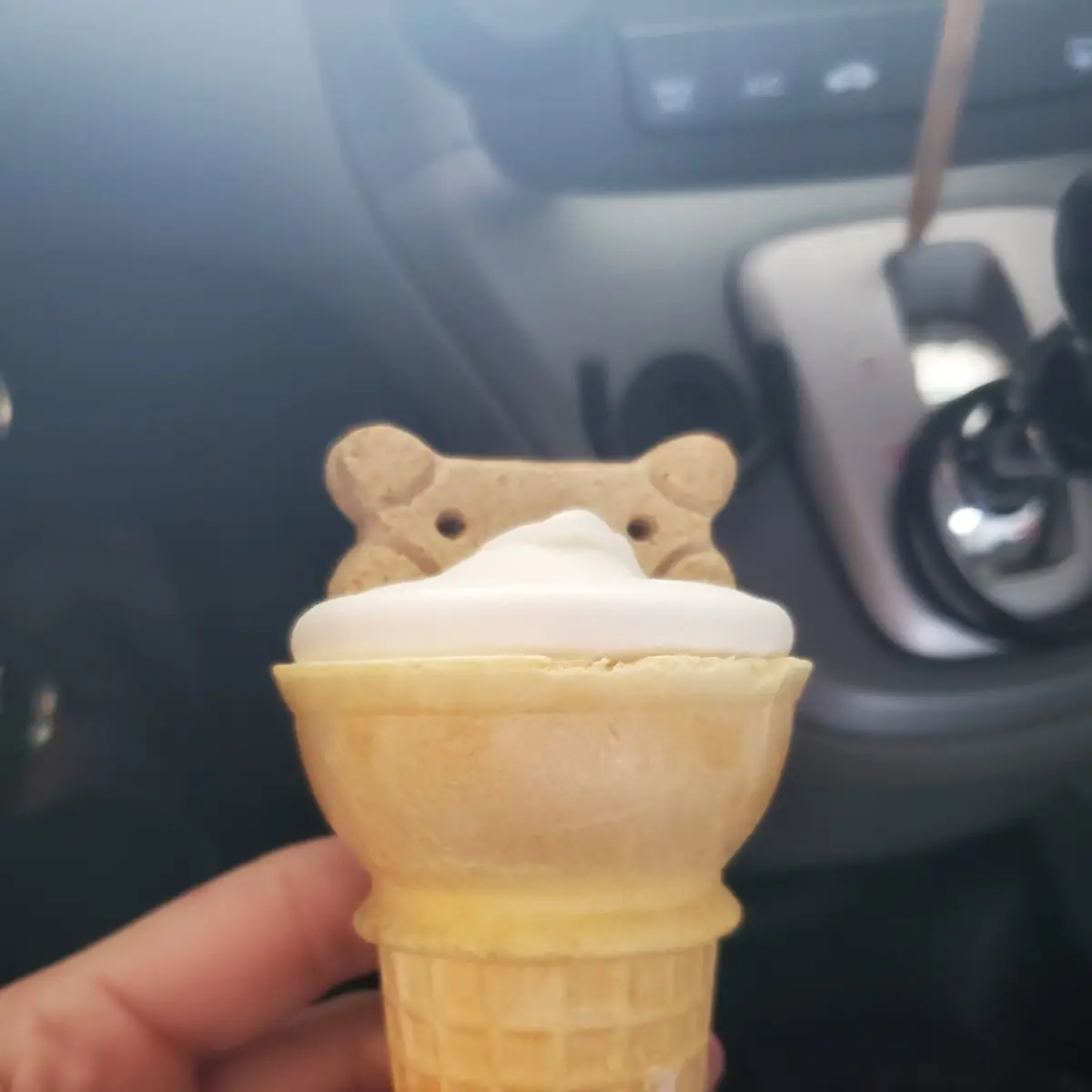Doggie Ice-Cream Cone Treat