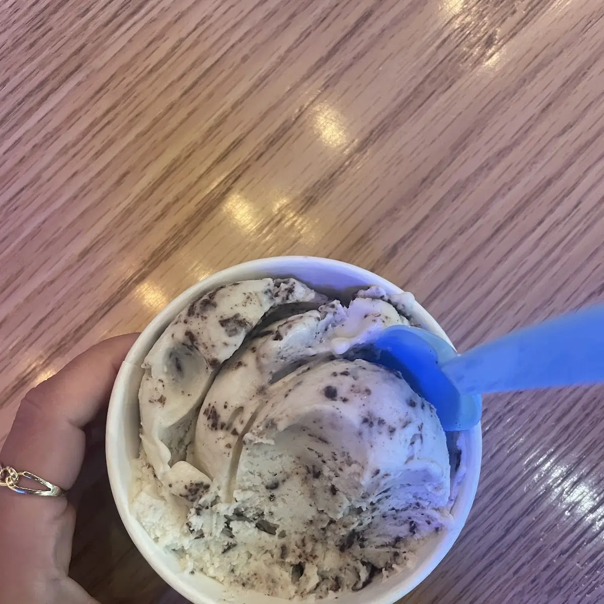 Vegan Chocolate Ice Cream