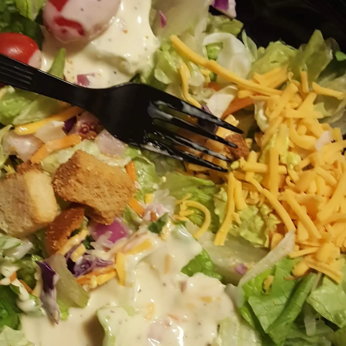Fresh Garden Salad