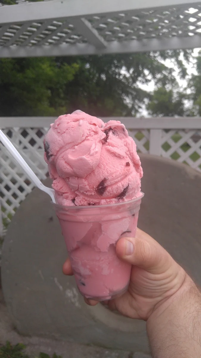 Black Cherry Ice Cream with Cherry Hunks