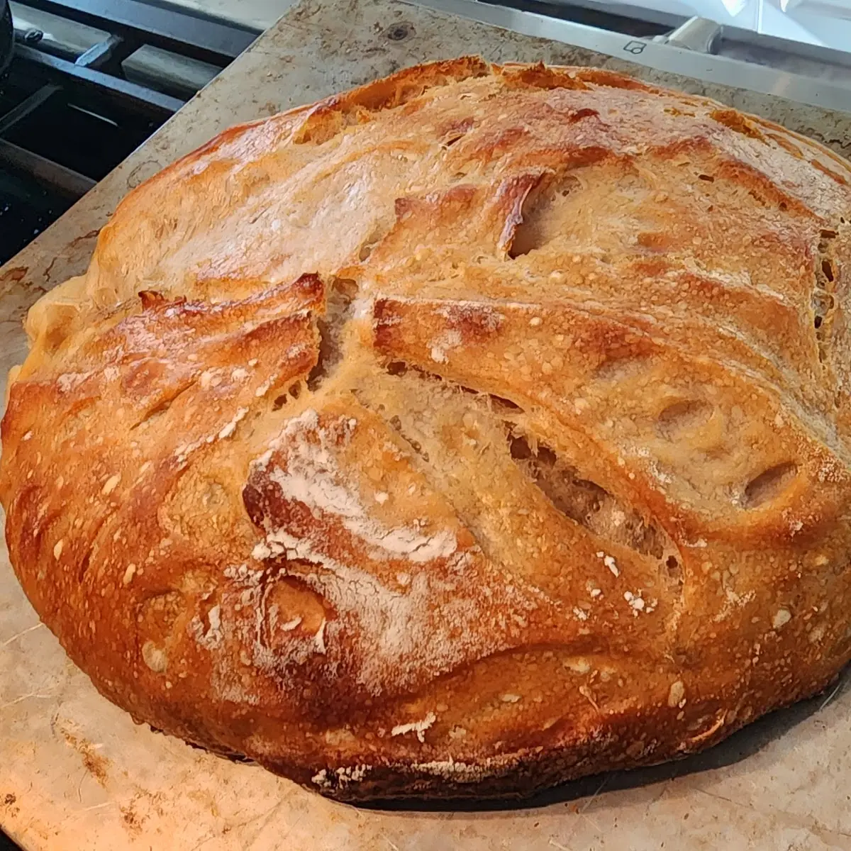 Sourdough