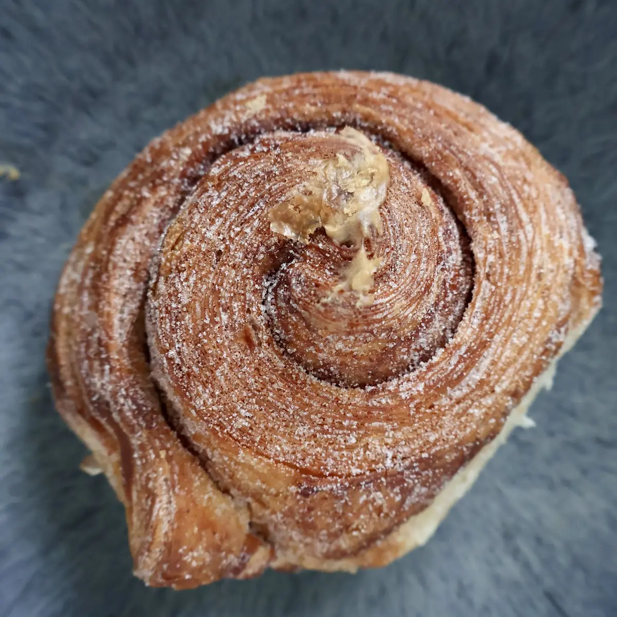 Morning Bun