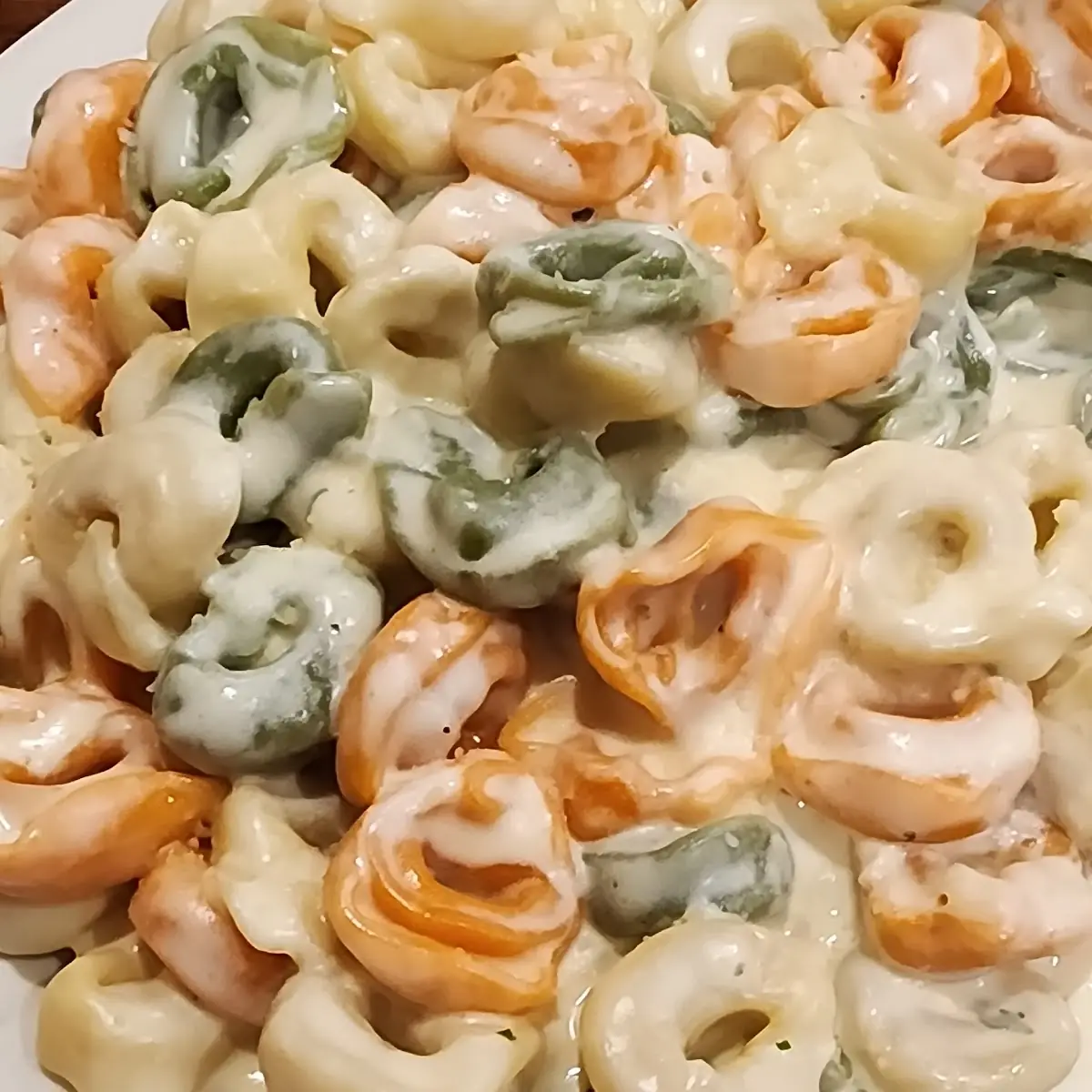 Tortellini Alfredo with Shrimp