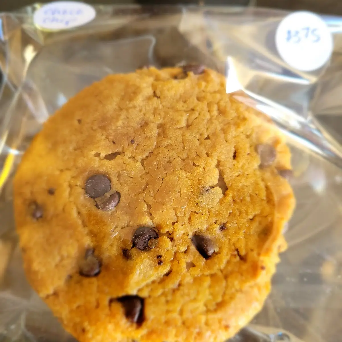 Gourmet Chocolate Chip Cookie