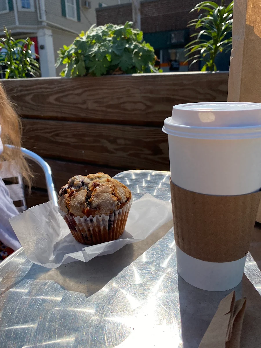Blueberry Muffin