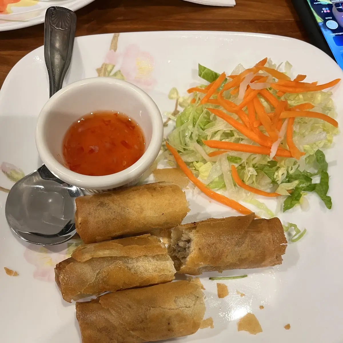 Fried Spring Rolls