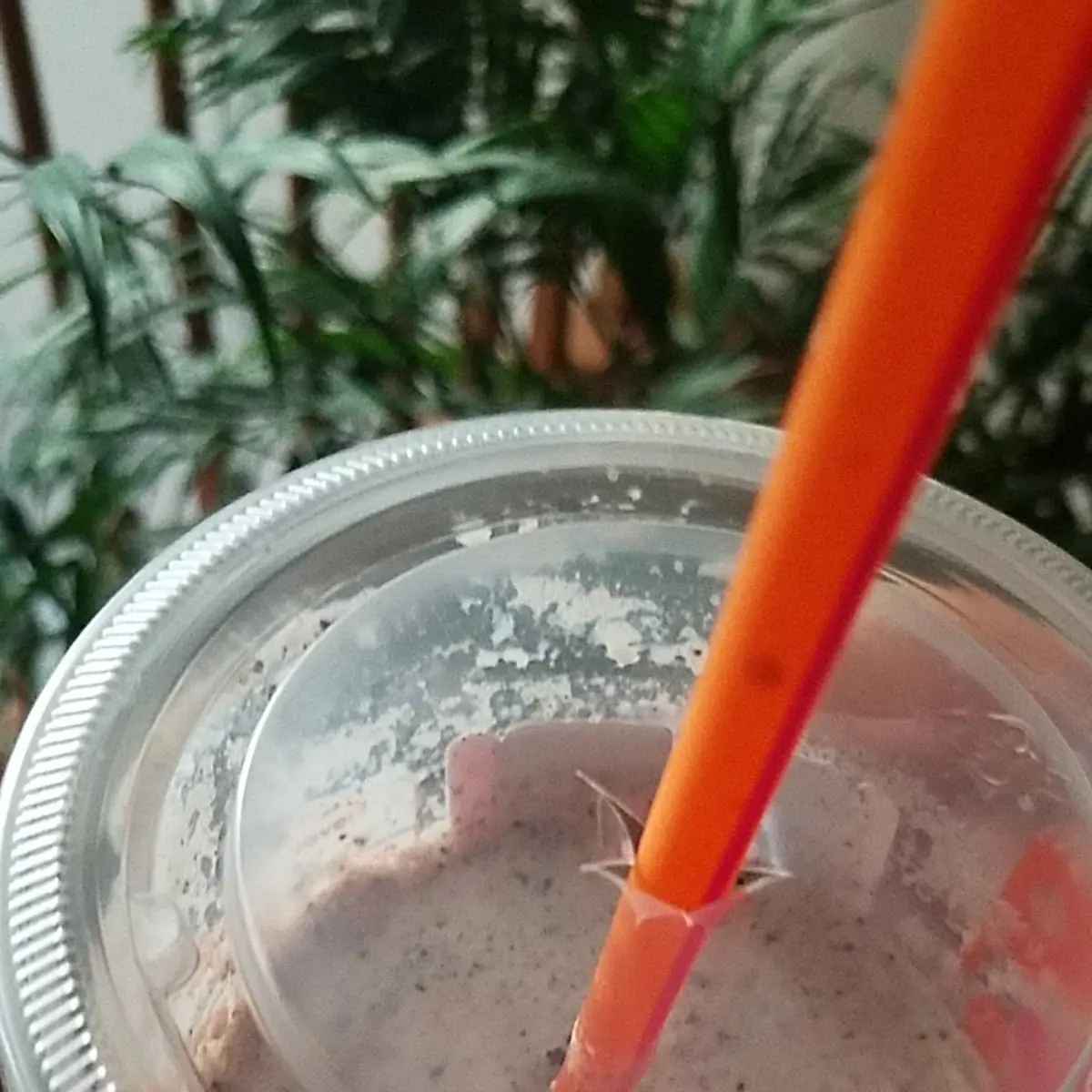 Oreo Shake