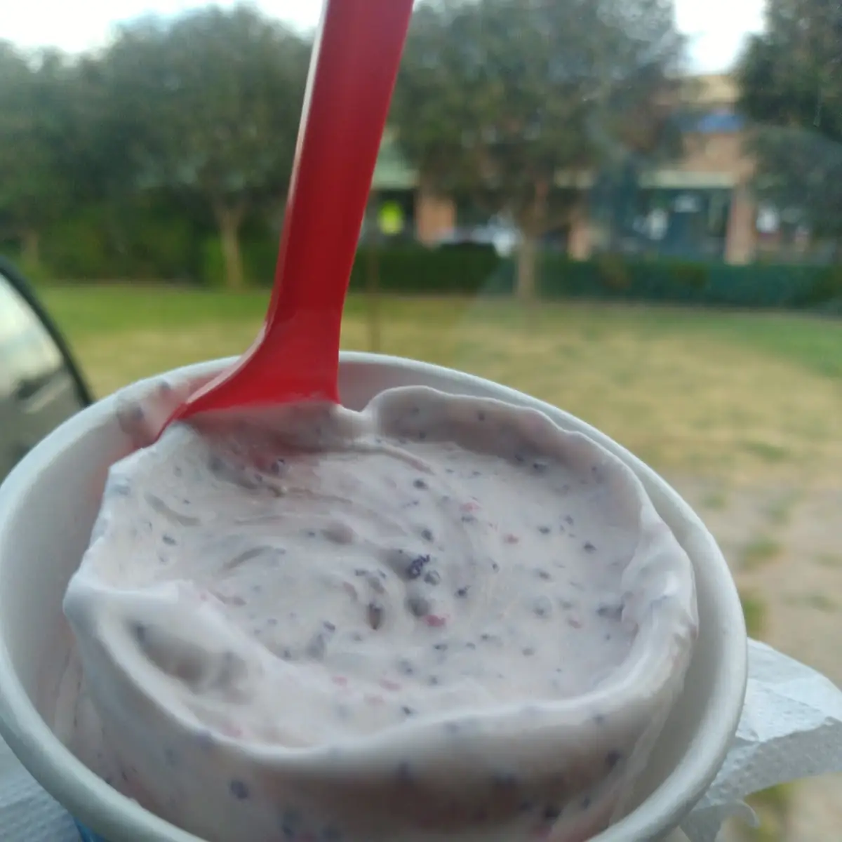 Cotton Candy Blizzard