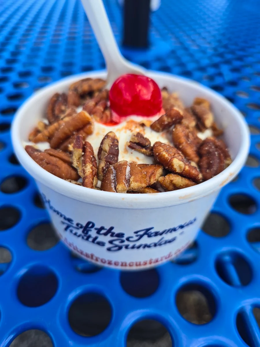 Turtle Sundae