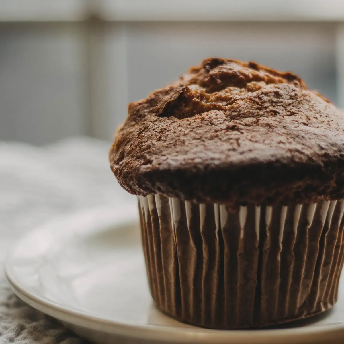 Blueberry Muffin