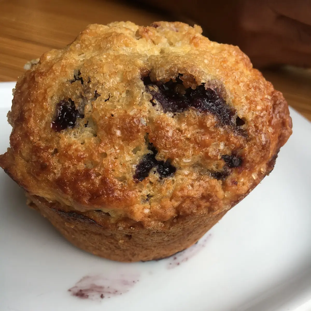 Blueberry Muffin