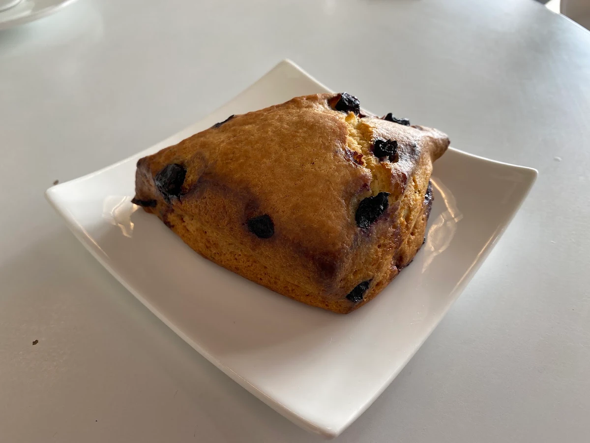 Blueberry Muffin