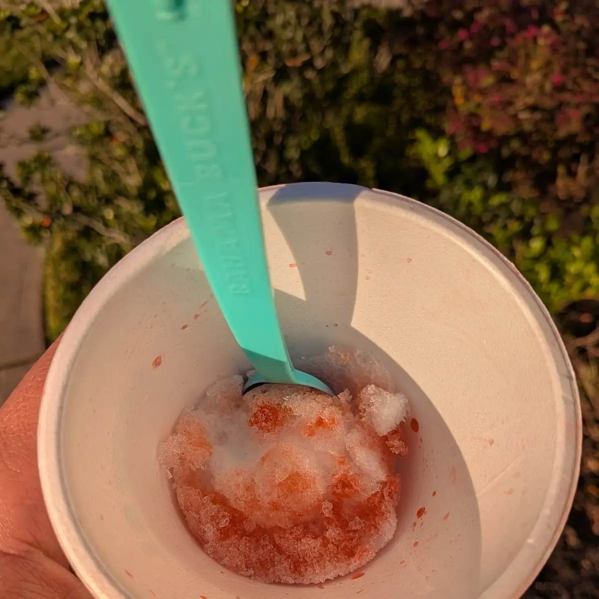 Shaved Ice
