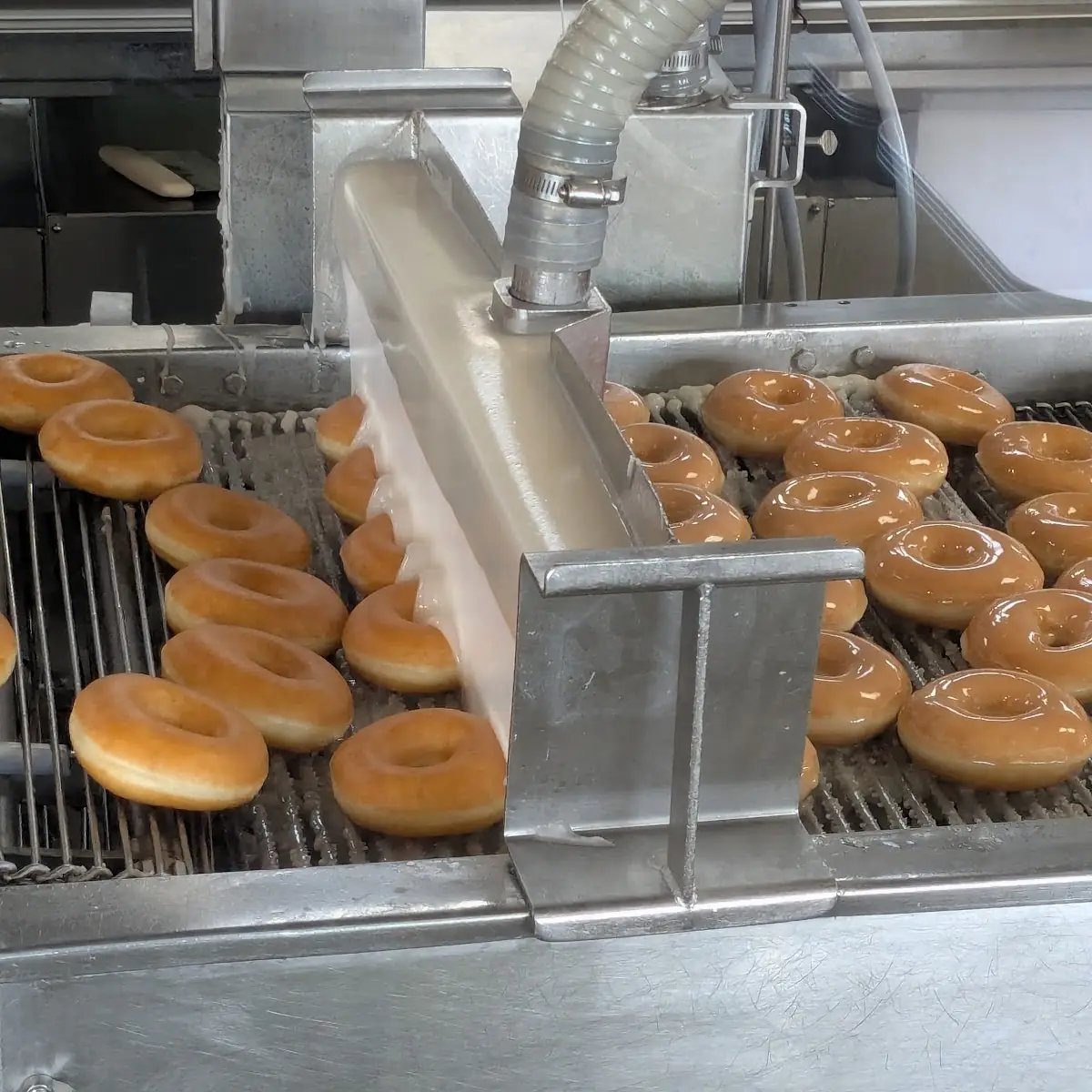 Original Glazed Doughnut