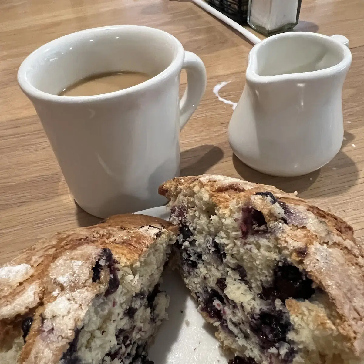 Blueberry Muffin