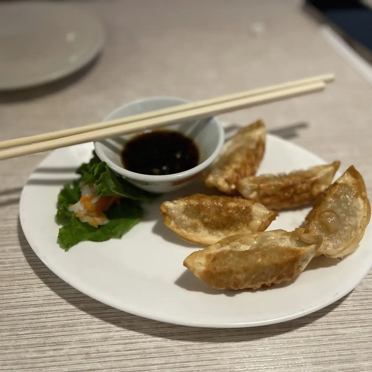 Crispy Dumplings