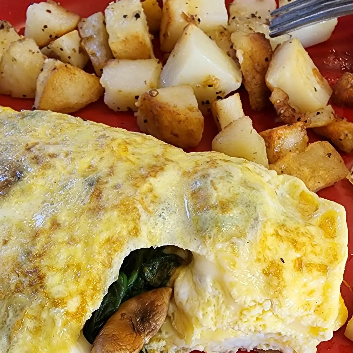 Ellsworth Omelette