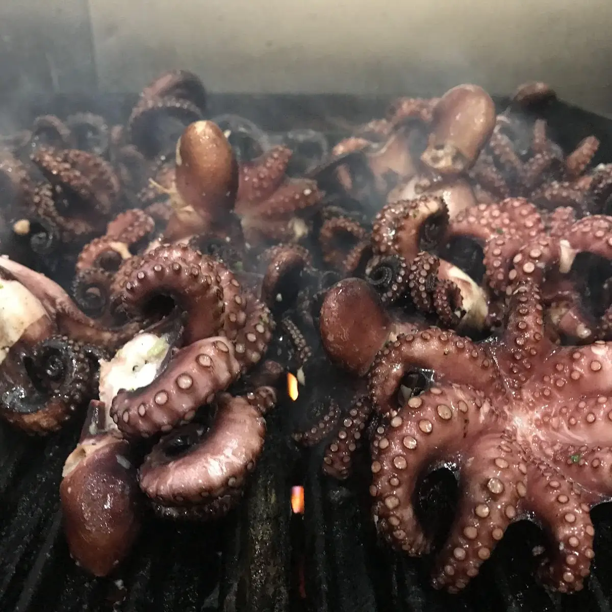 Imported Italian Octopus Salad