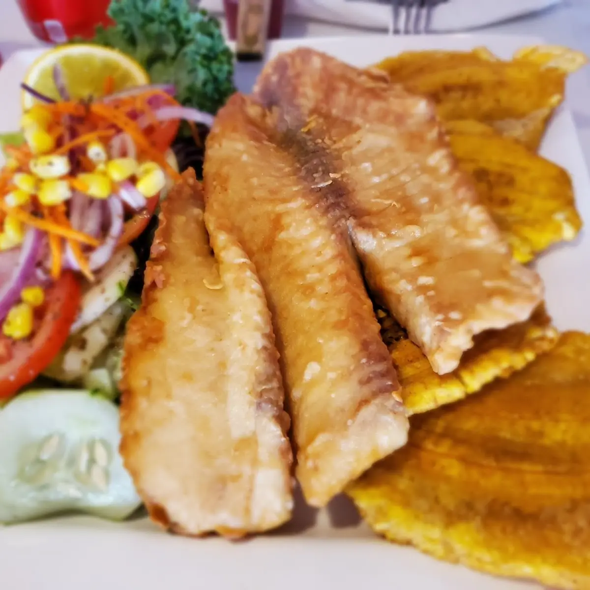Fried Colombian Tilapia Fillet