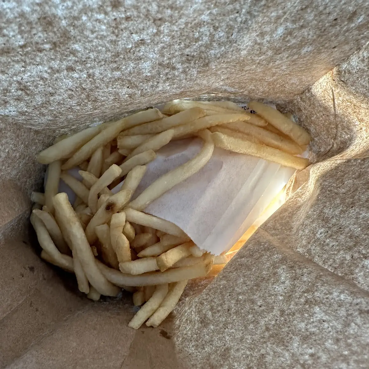 Lots of Fries