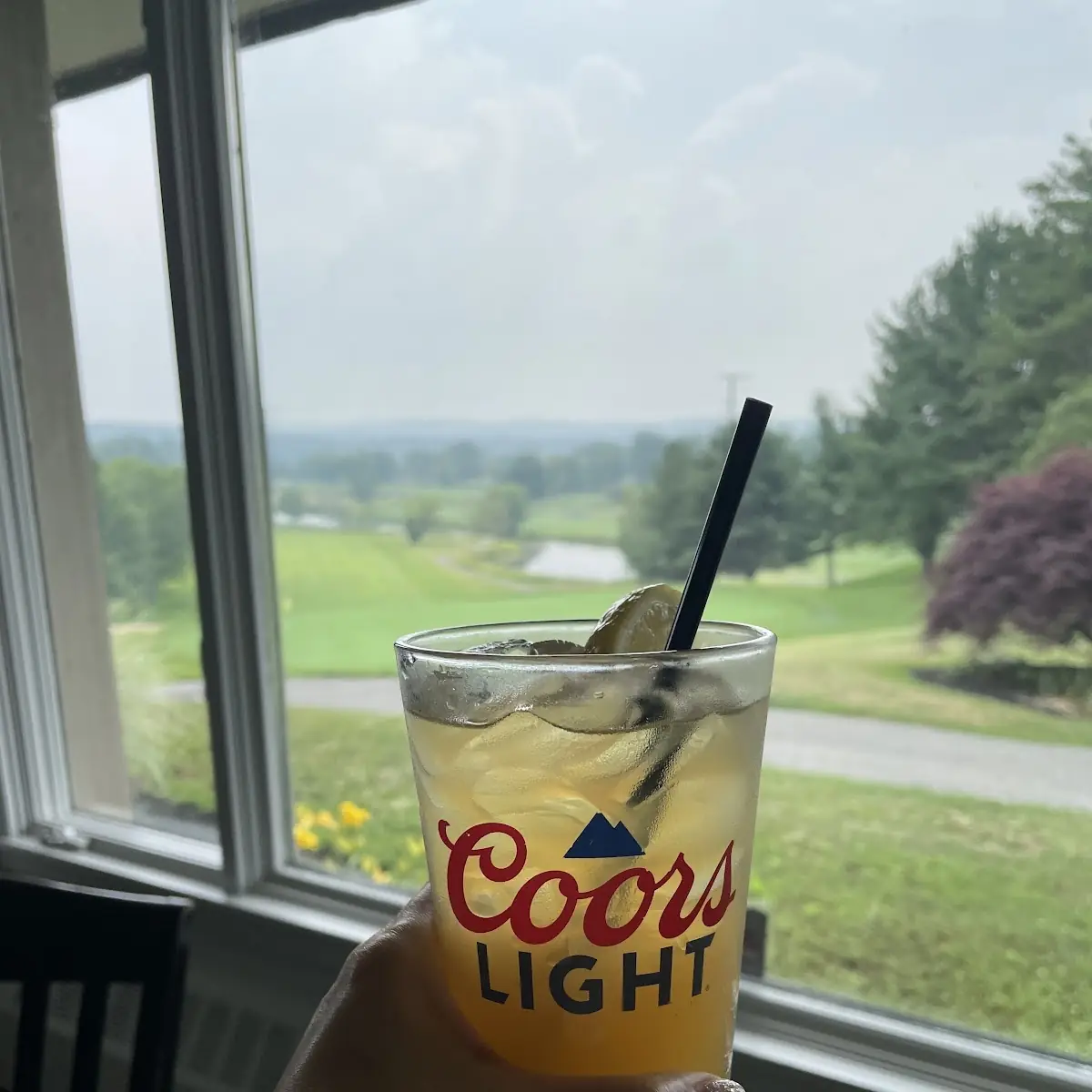 Gold Peak Iced Tea