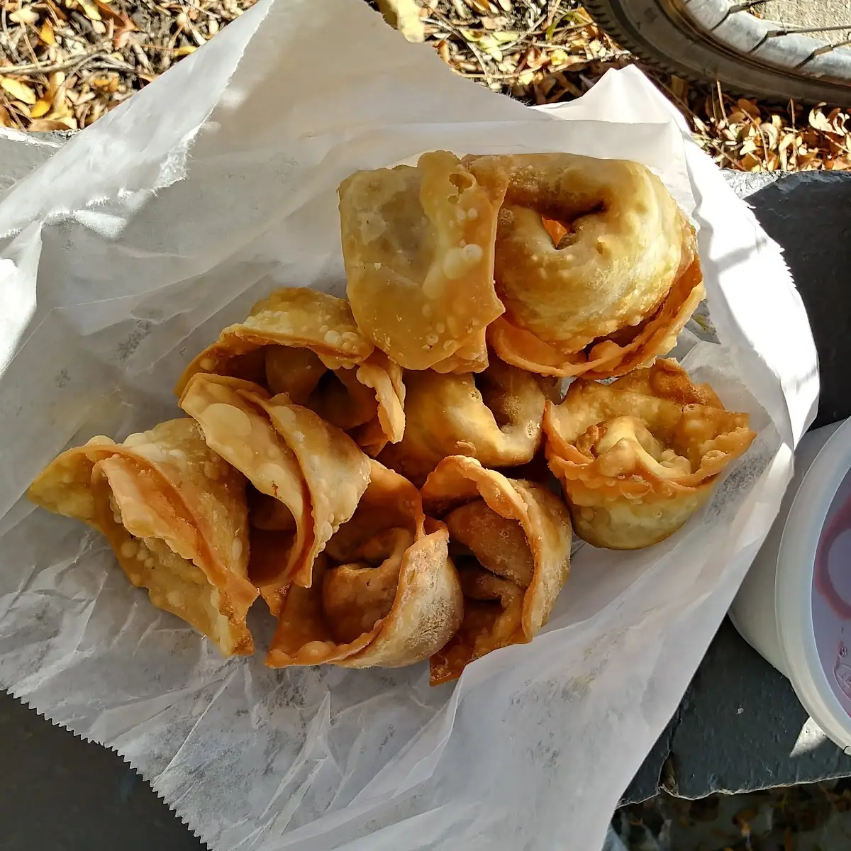 Fried Wonton 10