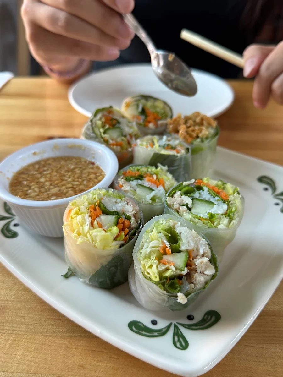 Fresh Spring Roll