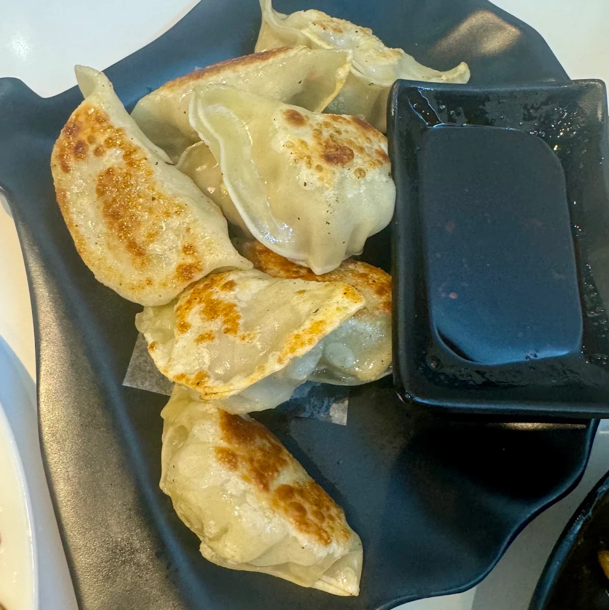 Pan Fried House Made Dumpling 8pcs