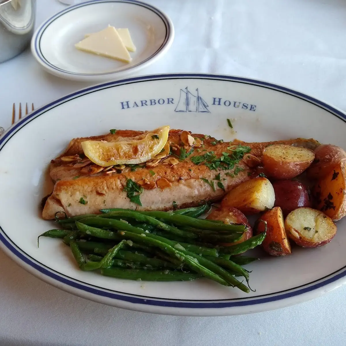 Rainbow Trout