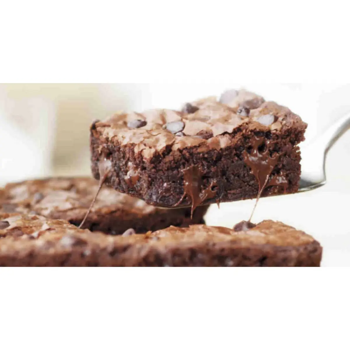 Chocolate Chip Brownie