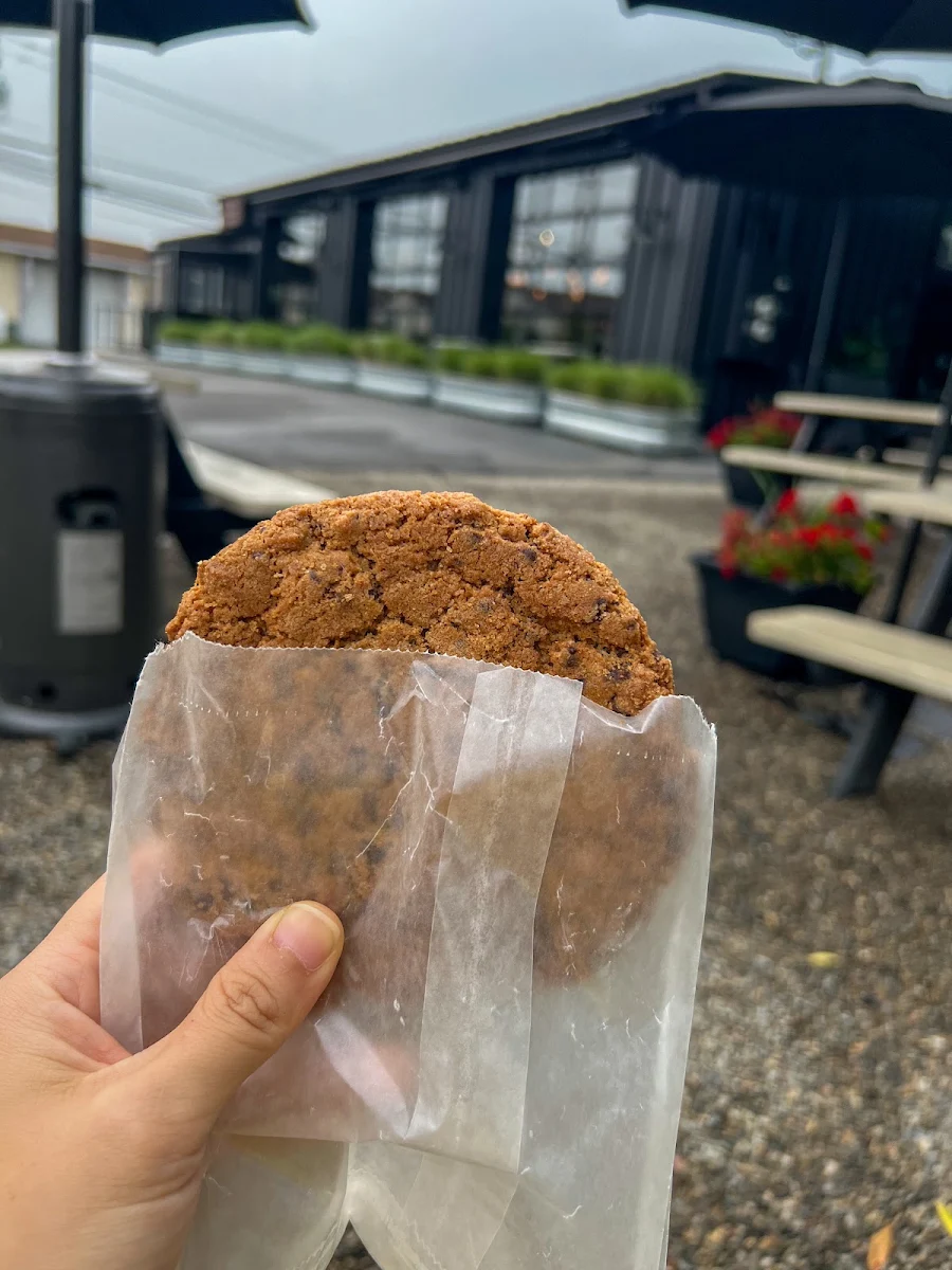 Chocolate Chip Cookie