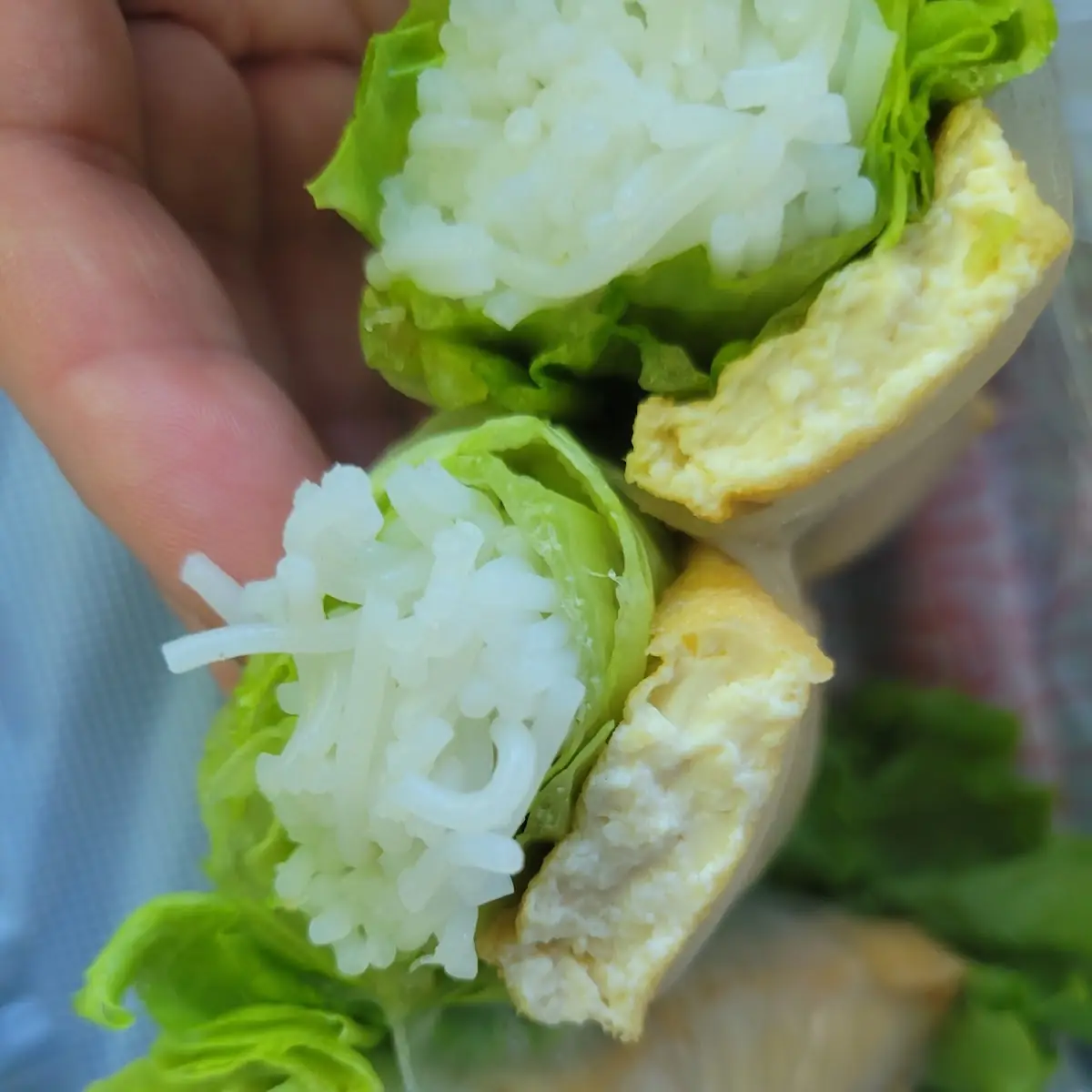 Spring Roll Fried Tofu