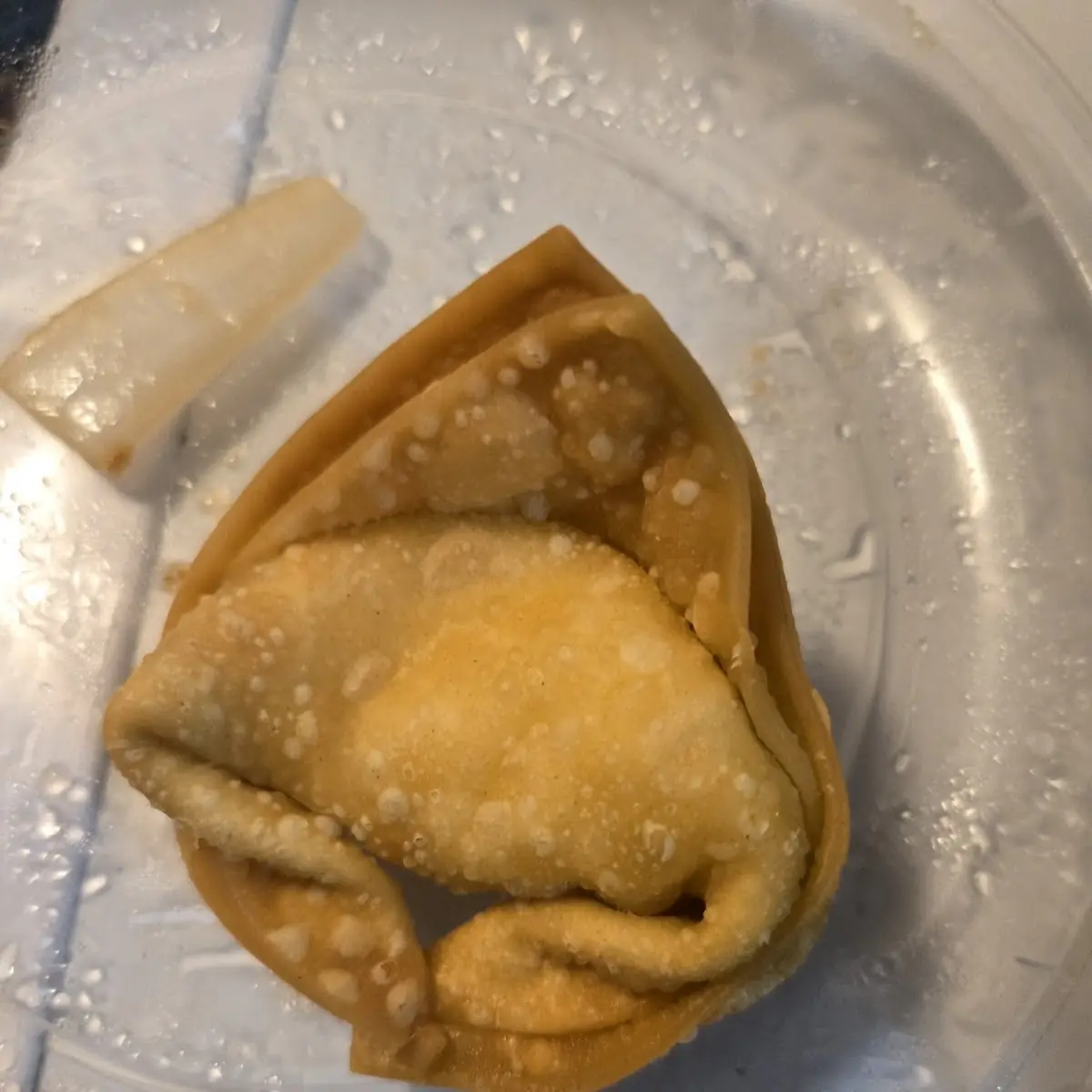 Cream Cheese Wonton