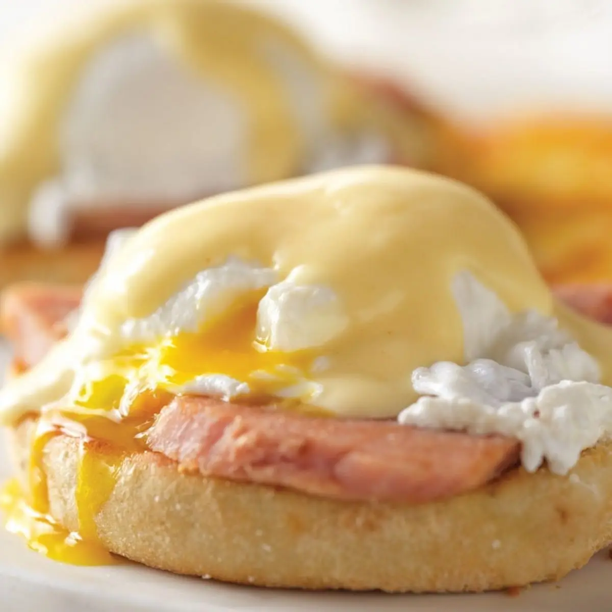 Two Slices of Spam & Eggs