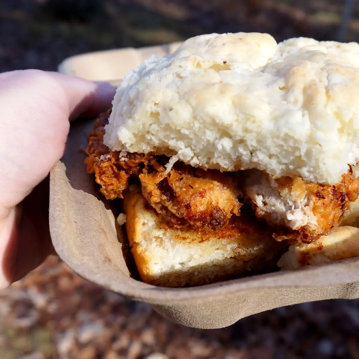 Fried Chicken Biscuit