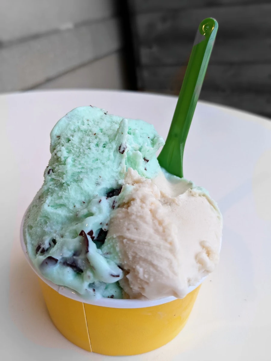 Gelato Chocolate Chip Mint & Toasted Marshmallow