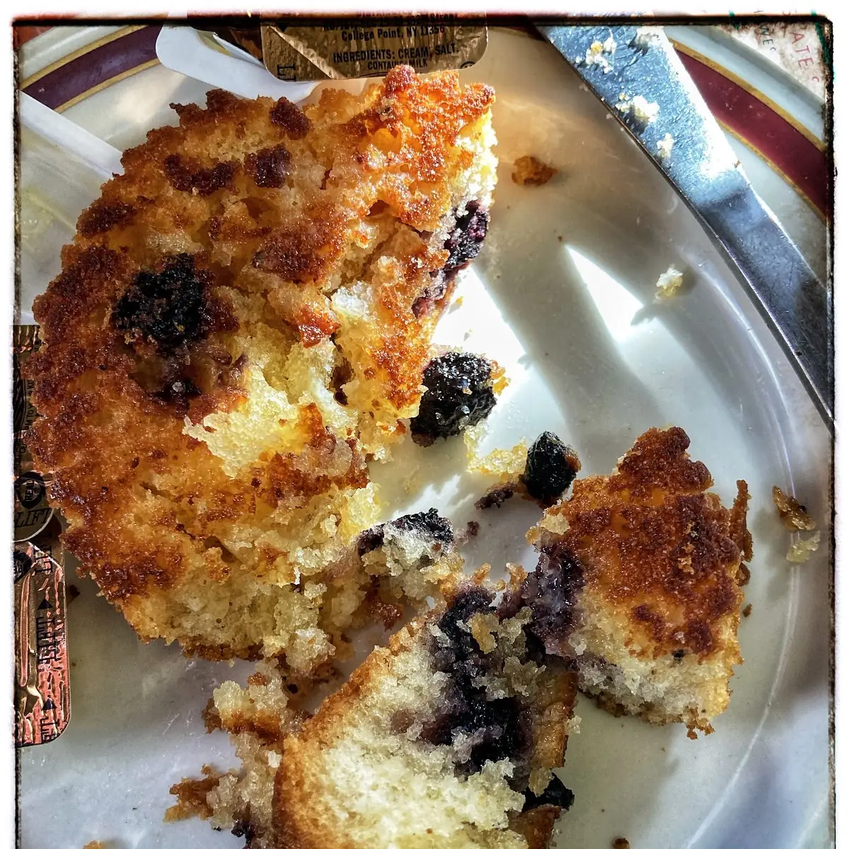 Blueberry Muffin