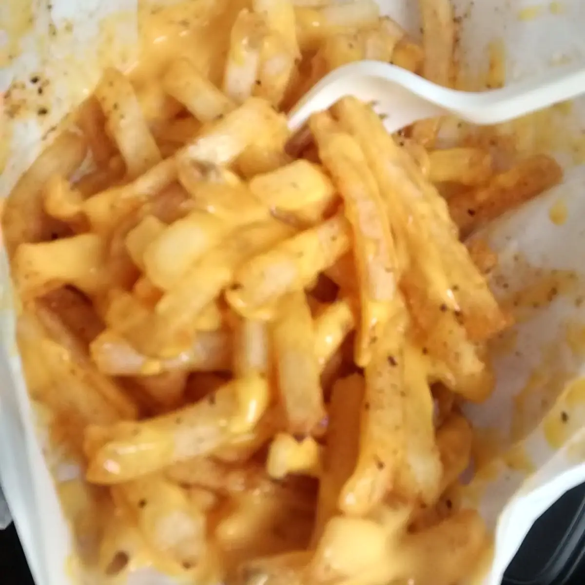 Butter Garlic Cheese Fries
