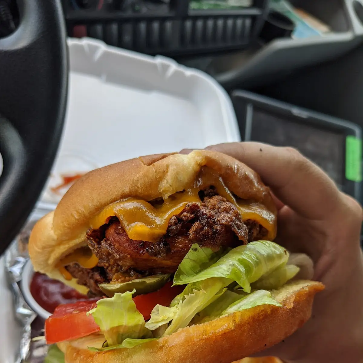 Hot Chicken Sandwich