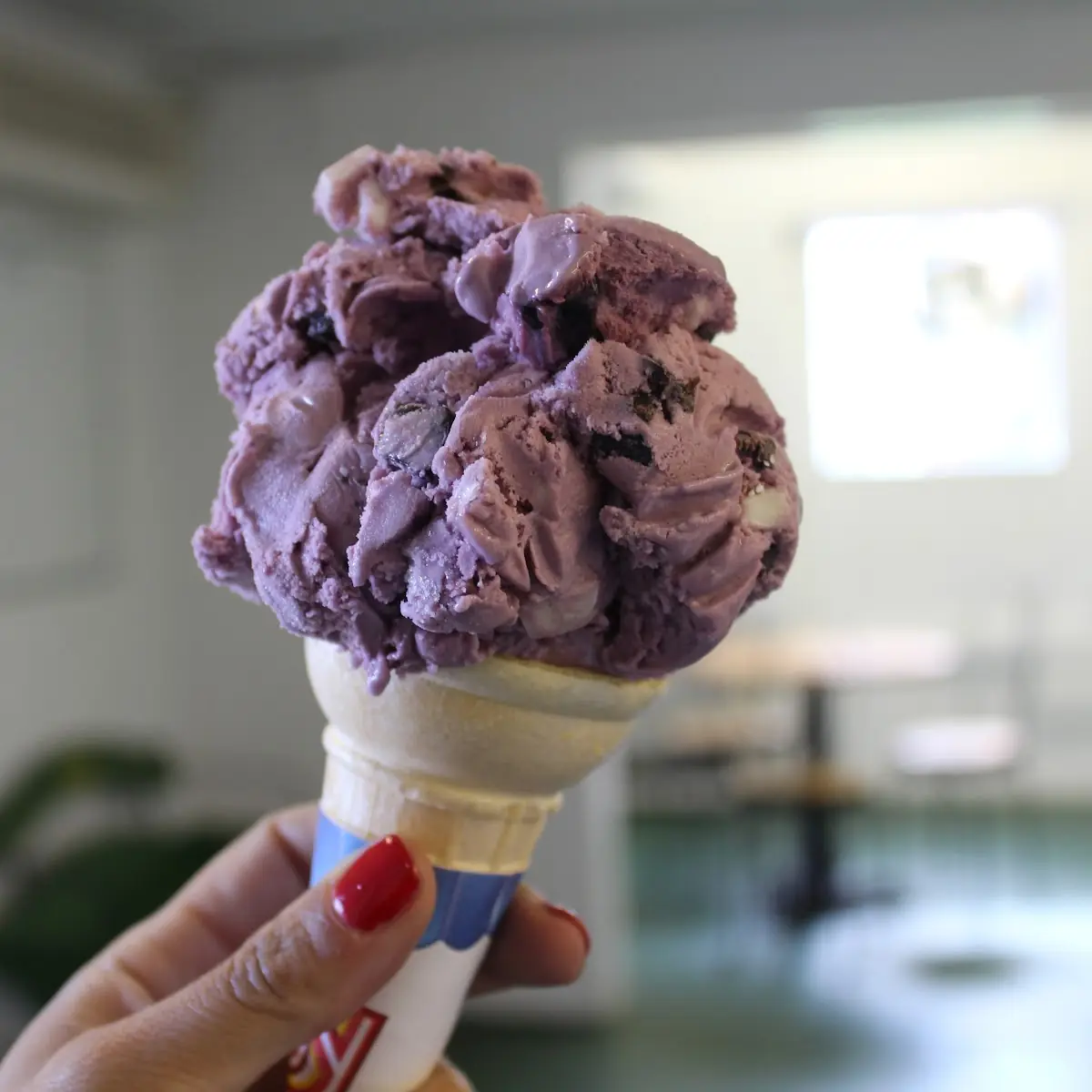 Black Cherry Chip