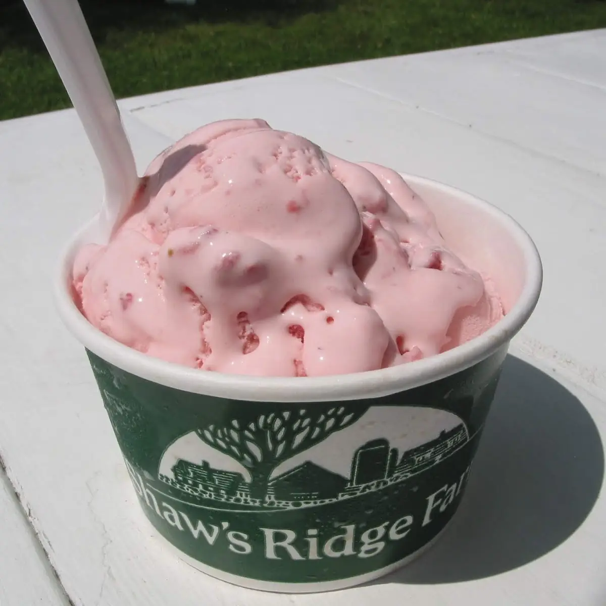 Fresh Strawberry Ice Cream