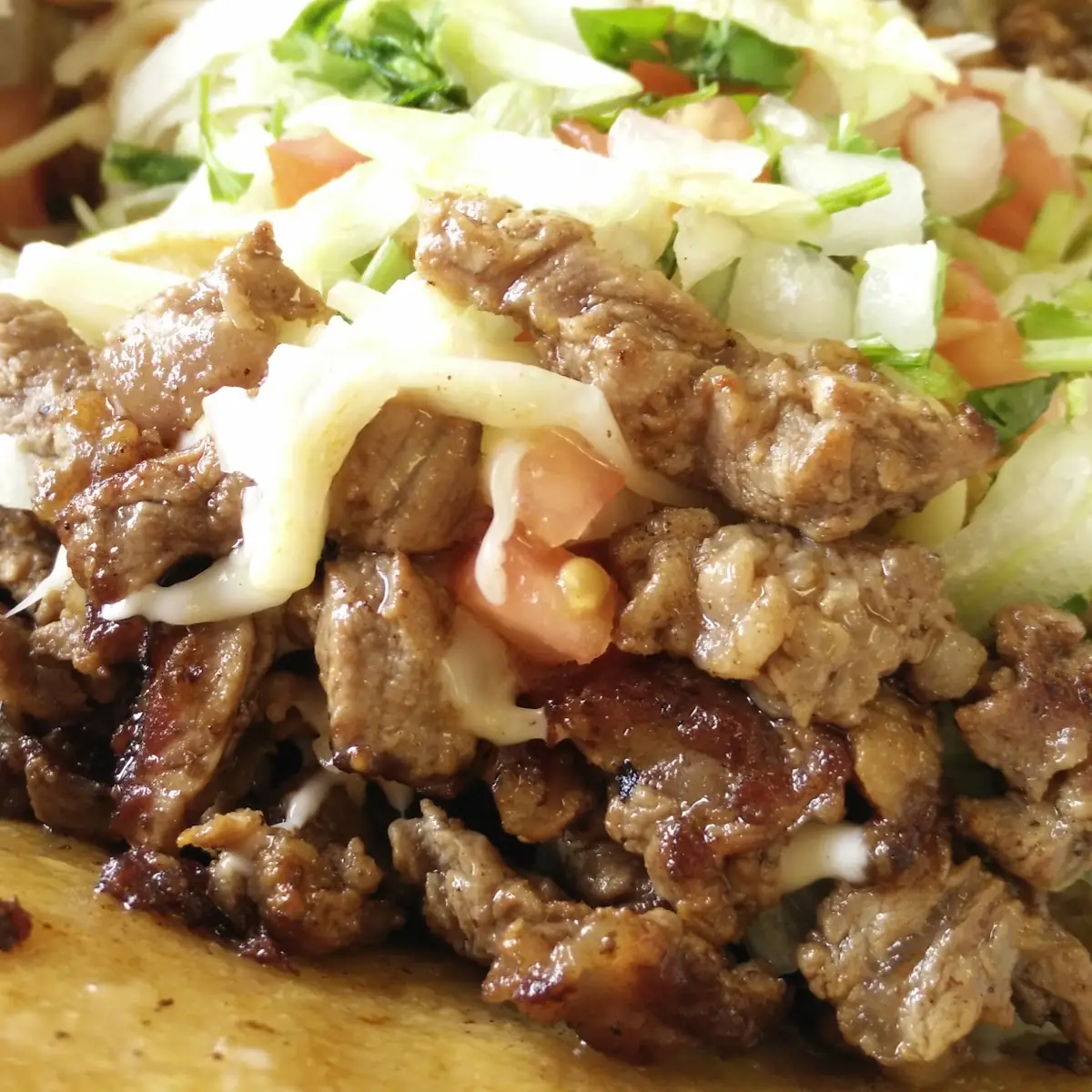 Asada Taco Loaded