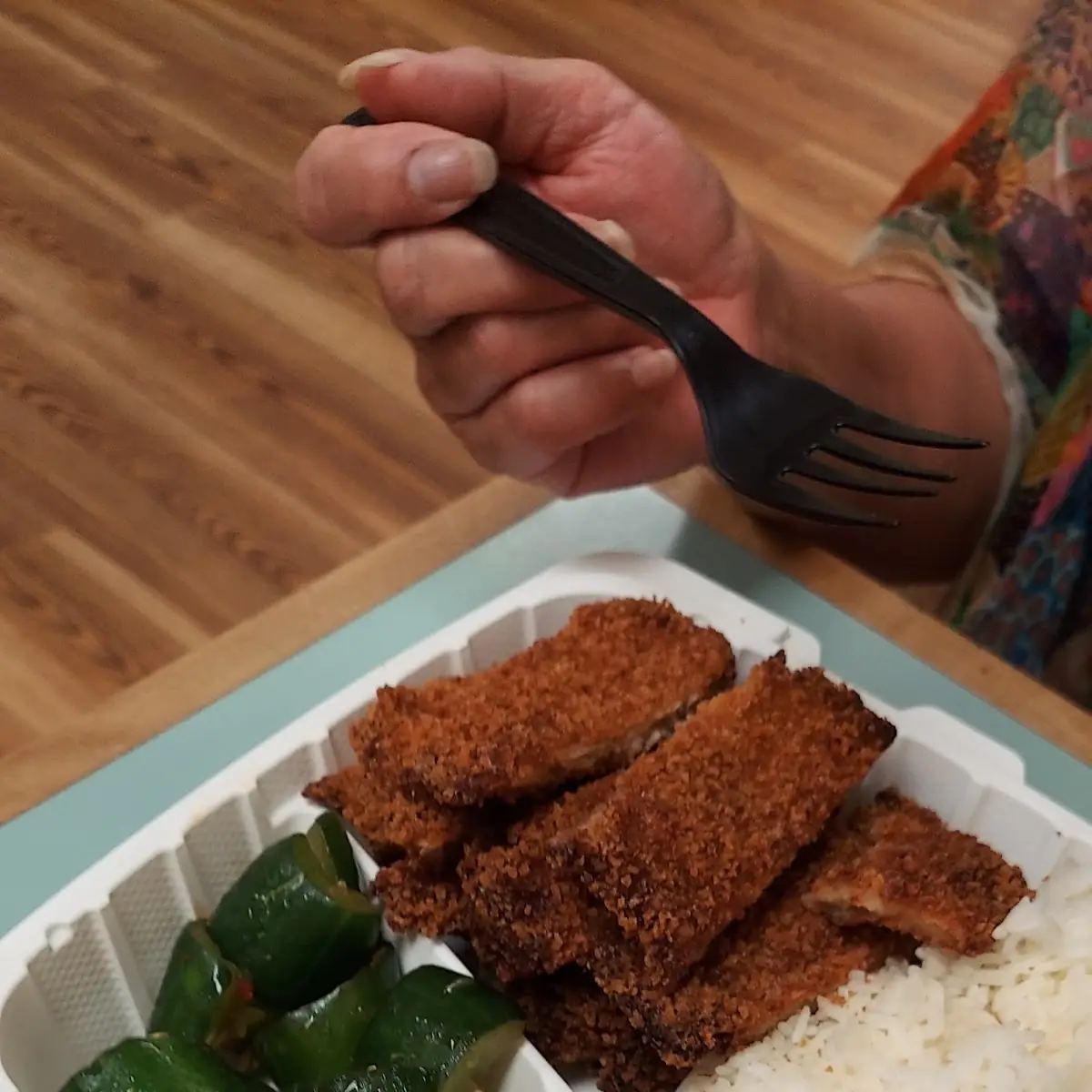 Chicken Katsu Plate