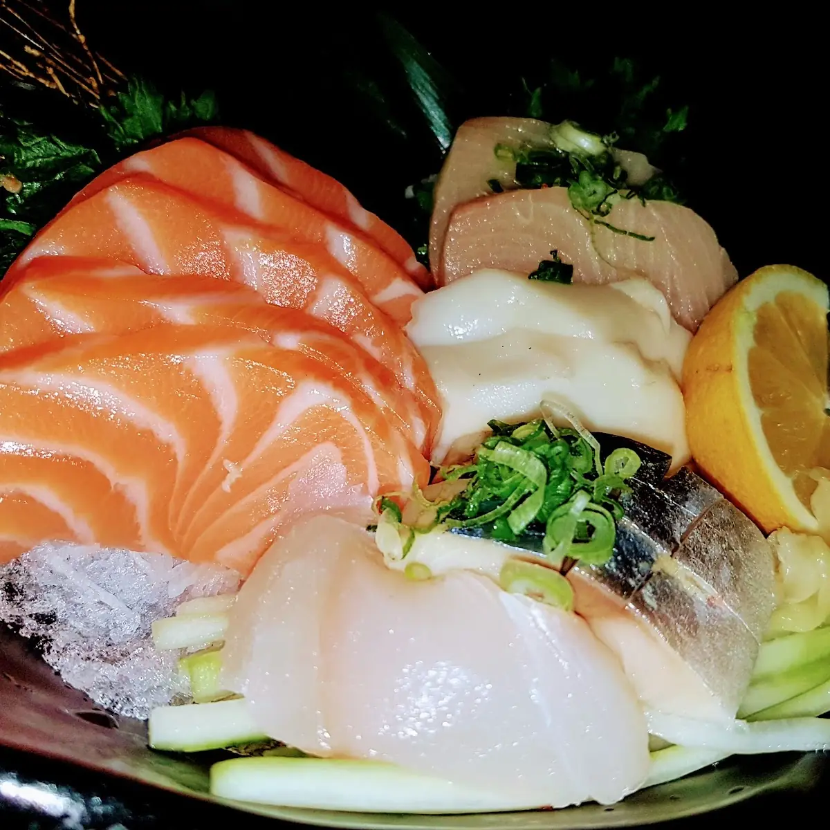 Sashimi Appetizer