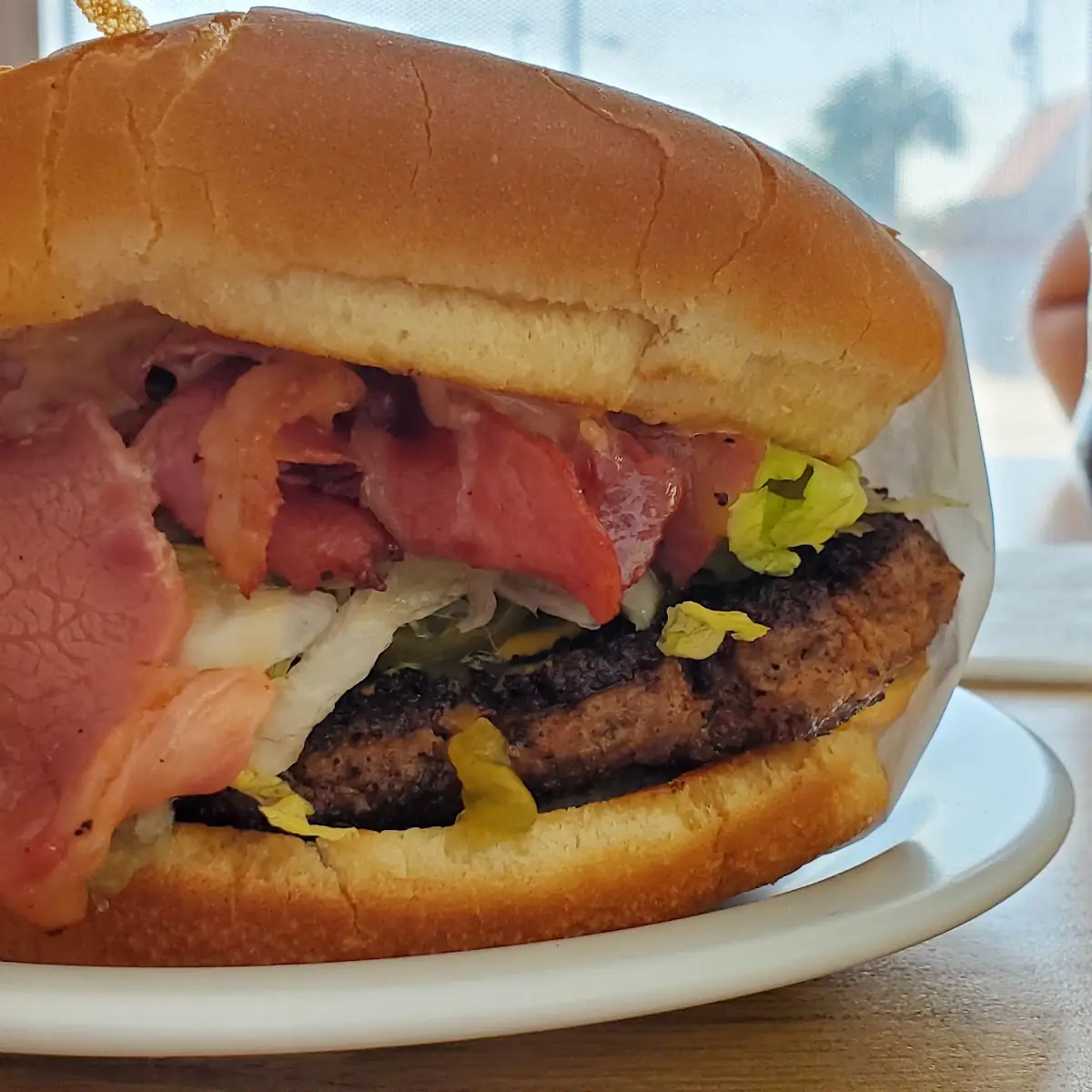 Double Turkey Burger