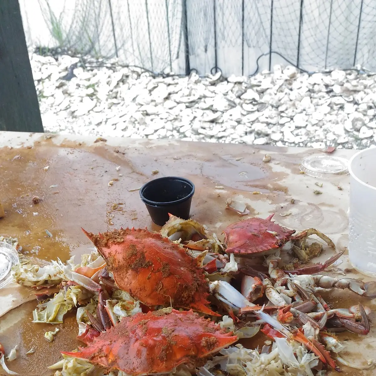 All You Can Eat